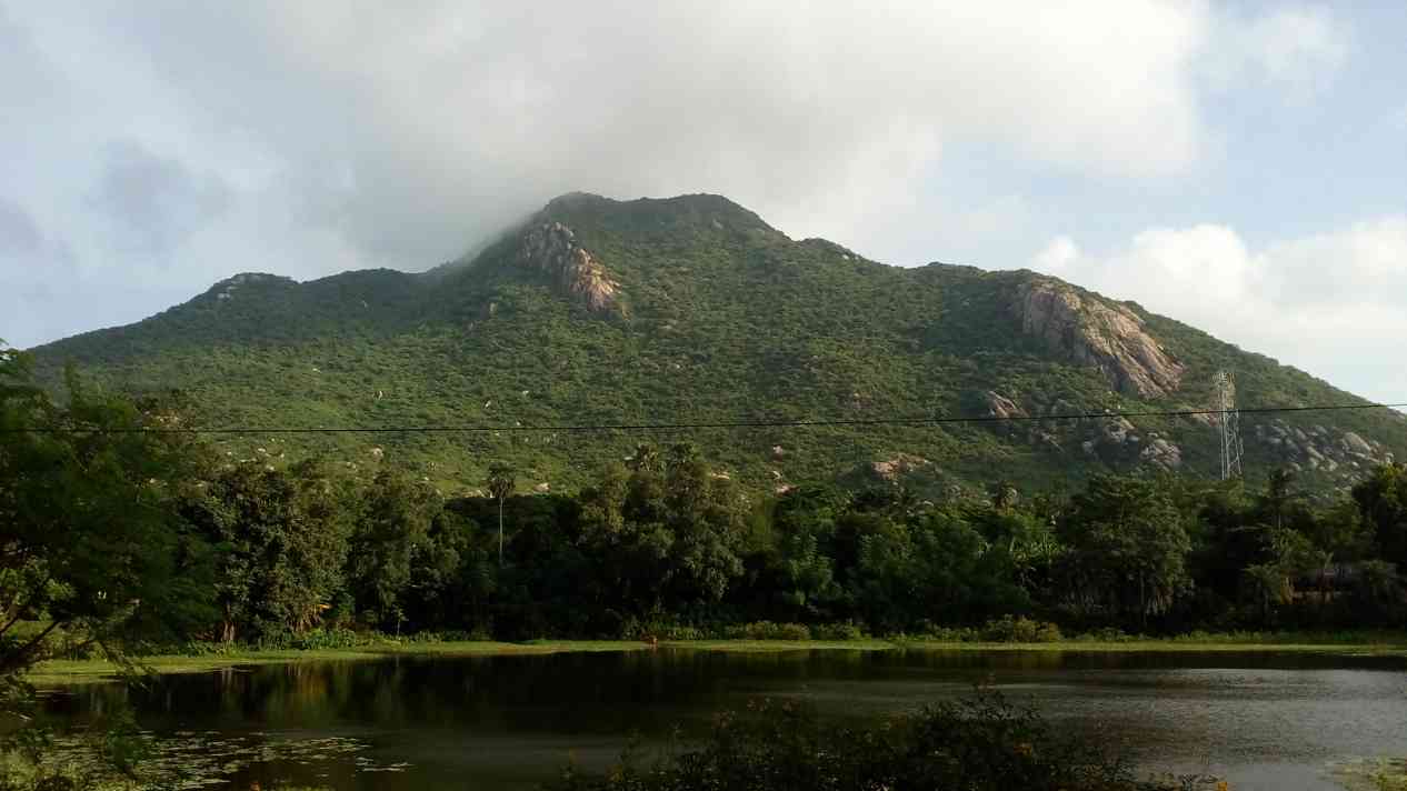 Araku Valley